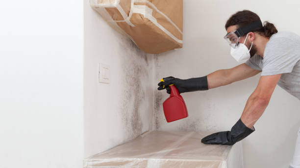 Professional Crawl Space Mold Remediation technician working in Dover, MA
