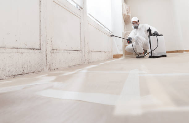 24/7 Emergency Crawl Space Mold Remediation experts in Dover, MA