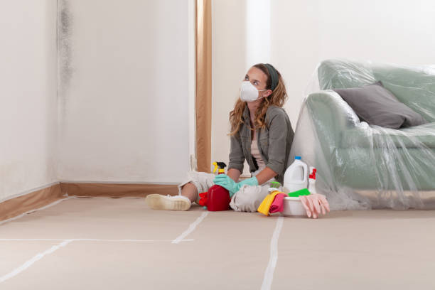 Reliable Crawl Space Mold Remediation contractor in Dover, MA by Mold Remediation HQ