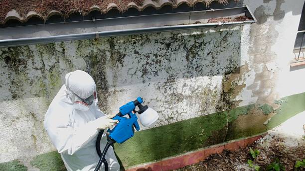 Top rated local Crawl Space Mold Remediation specialists in Dover, MA